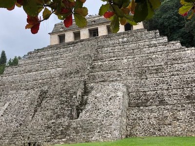 Article featured image