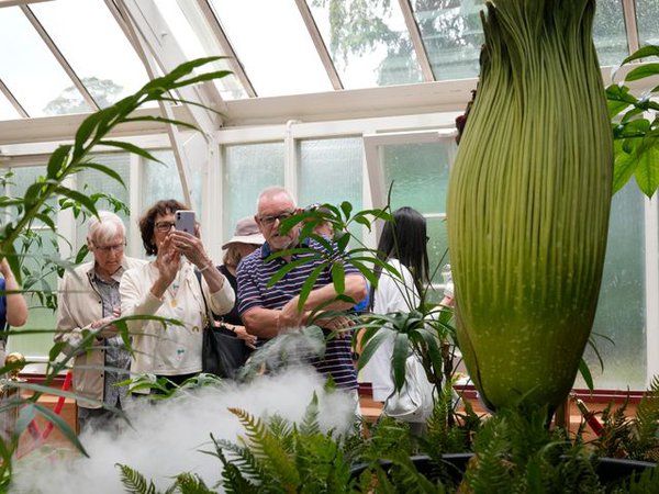 Article featured image