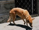 Slider image navigation