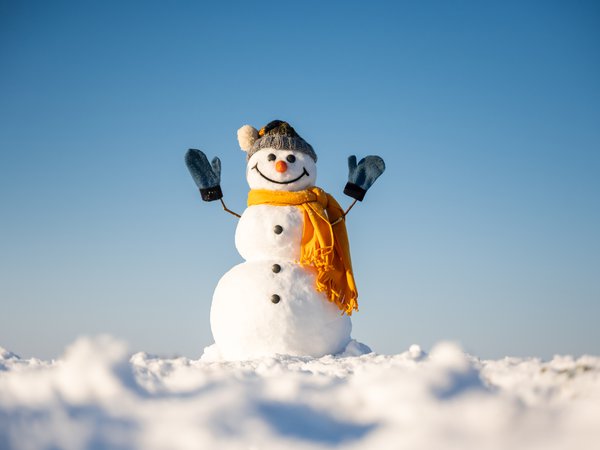 Article featured image