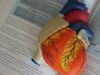Article featured image