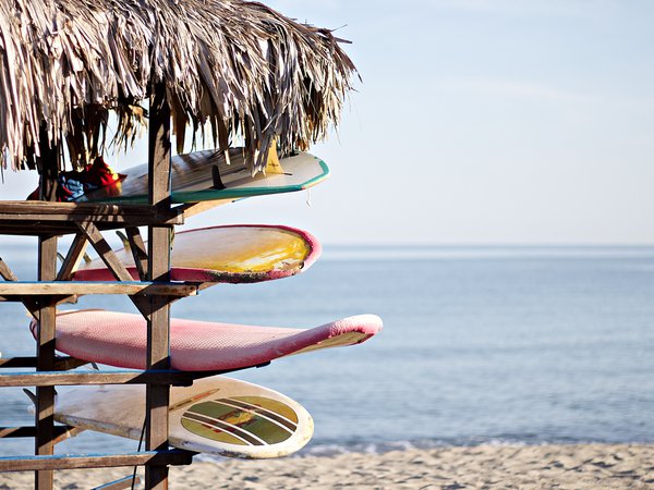 Article featured image