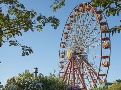 Article featured image