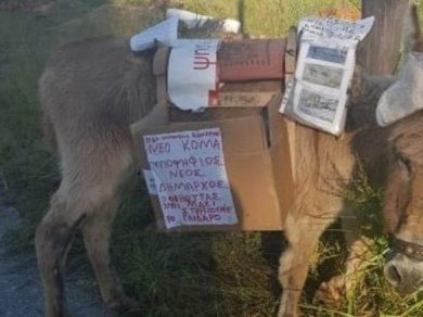 Article featured image