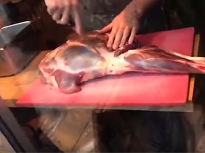 Article featured image