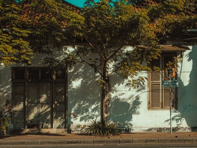 Article featured image