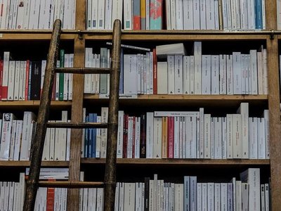 Article featured image