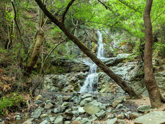 Article featured image