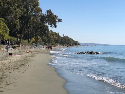 Article featured image