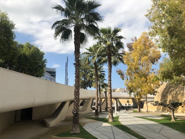 Article featured image