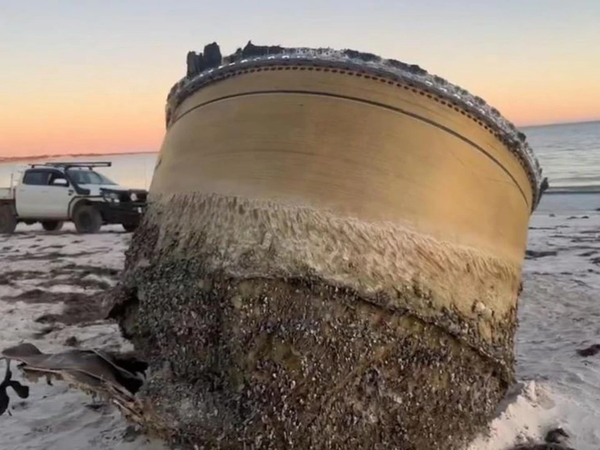 Article featured image