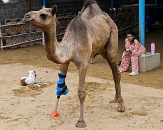 Article featured image