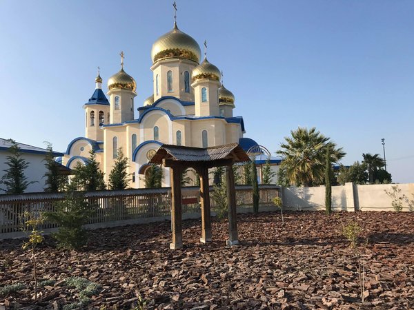 Article featured image