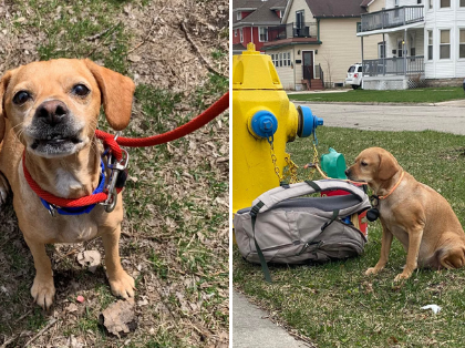 Article featured image