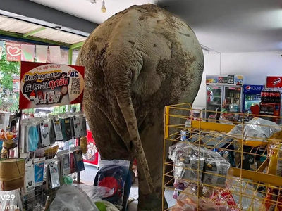 Article featured image