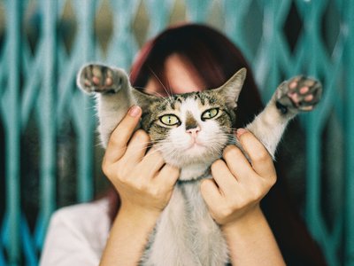 Article featured image
