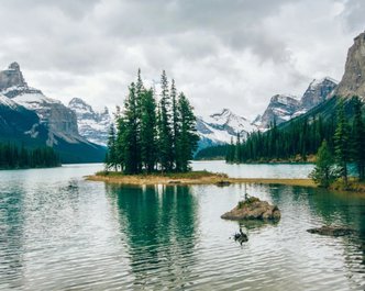 Article featured image