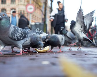 Article featured image