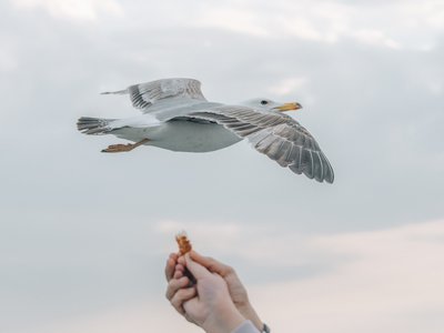 Article featured image