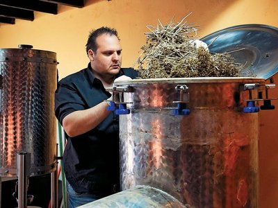 Article featured image