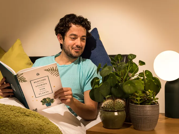 Article featured image