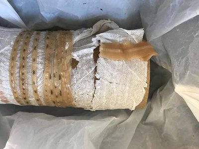 Article featured image