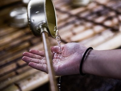 Article featured image