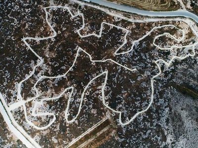 Article featured image