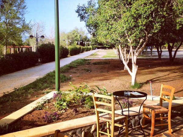 Article featured image