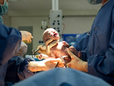 Article featured image