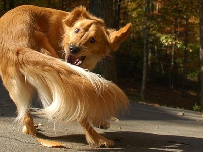 Article featured image