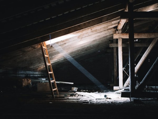 Article featured image