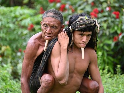 Article featured image