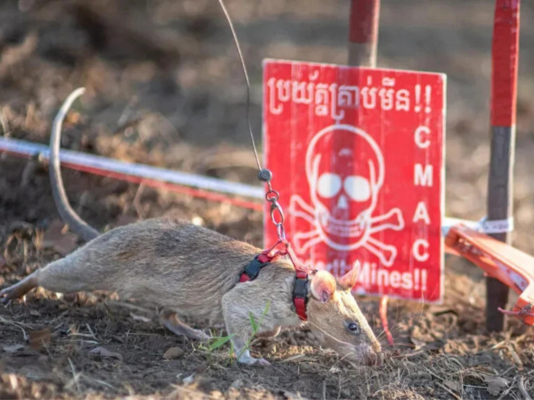 Article featured image