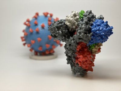 Article featured image