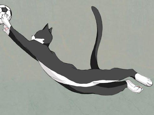 Article featured image