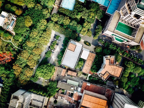 Article featured image