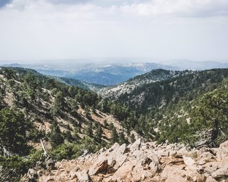 Article featured image