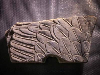 Article featured image