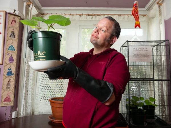 Article featured image