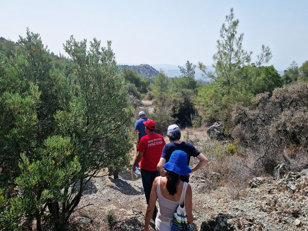 Article featured image