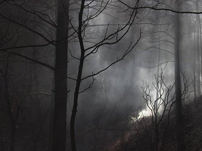 Article featured image