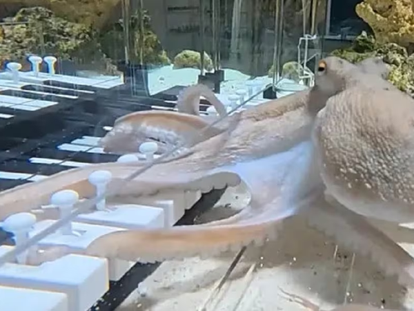 Article featured image