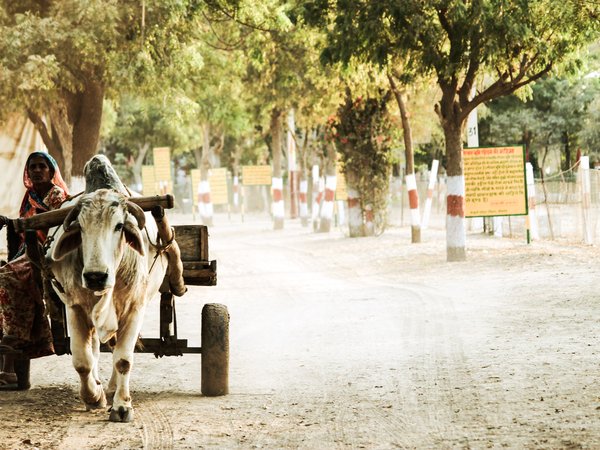 Article featured image