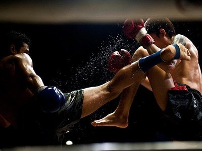 Article featured image