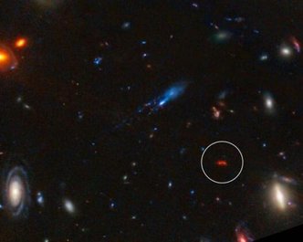 Article featured image