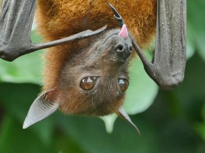 Article featured image