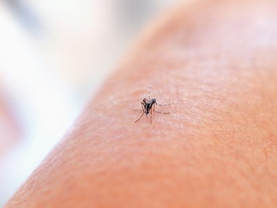 Article featured image