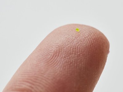 Article featured image