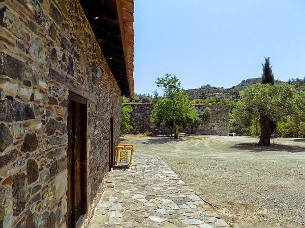 Article featured image